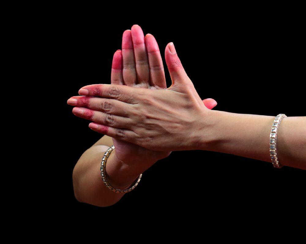 The Chakra mudra